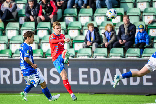Helsingborgs William Westerlund