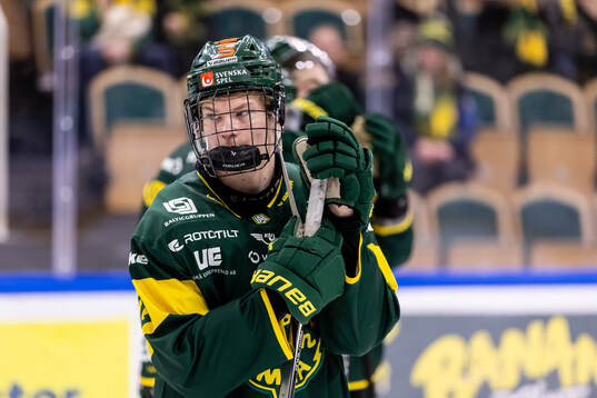Björklövens Bruno Osmanis deppar