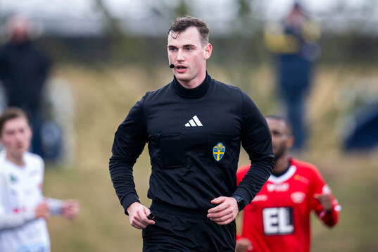 Domare Stjepan Dodik