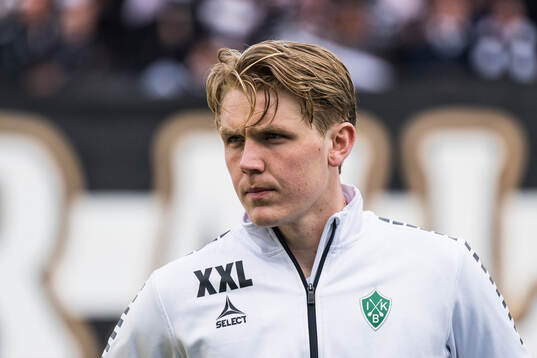 Brages Teodor Wålemark