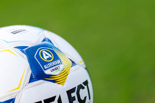 En fotboll