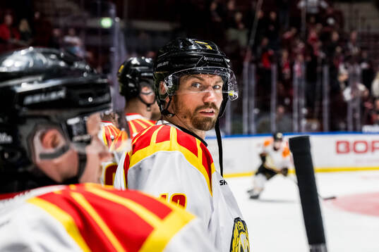 Brynäs Anton Rödin