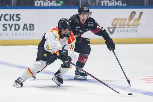 Brynäs Michal Svrcek och Malmö Redhawks Lassi Thomson