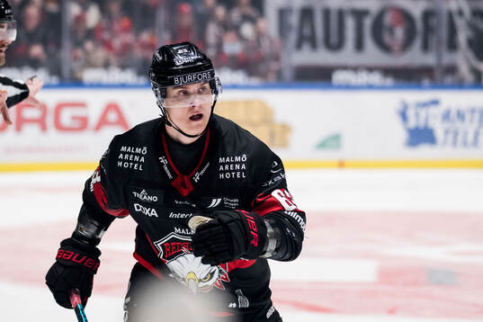 Malmö Redhawks Fredrik Händemark