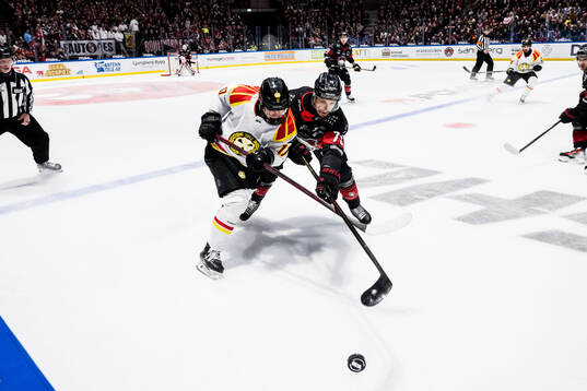 Brynäs Michal Svrcek och Malmö Redhawks Jakub Galvas