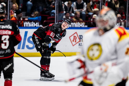 Malmö Redhawks Fredrik Händemark deppar