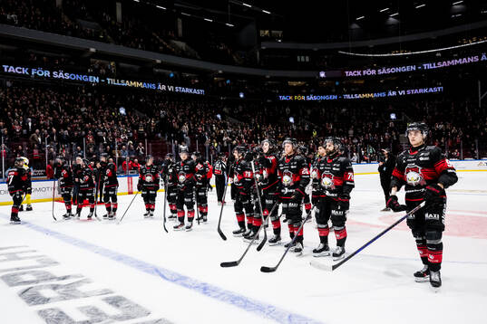 Malmö Redhawks spelarna deppar