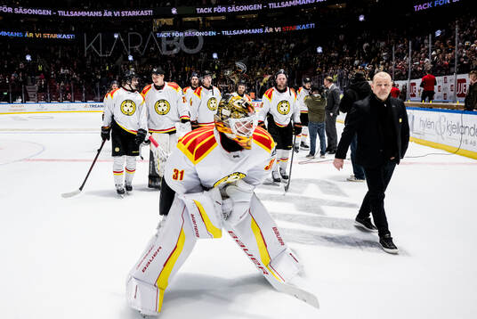 Brynäs spelarna
