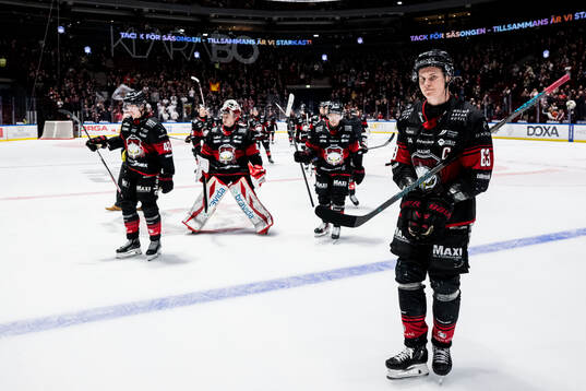 Malmö Redhawks Fredrik Händemark deppar