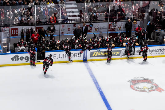 Malmö Redhawks spelarna deppar