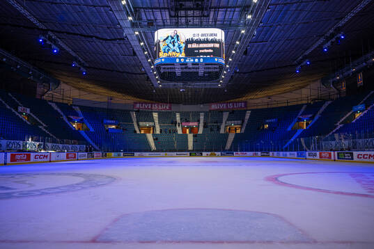 Hovet