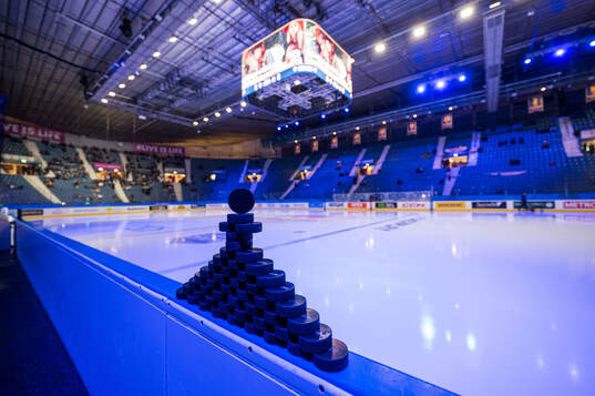 Under semifinal ett i Hockeyallsvenskan mellan Djurgården