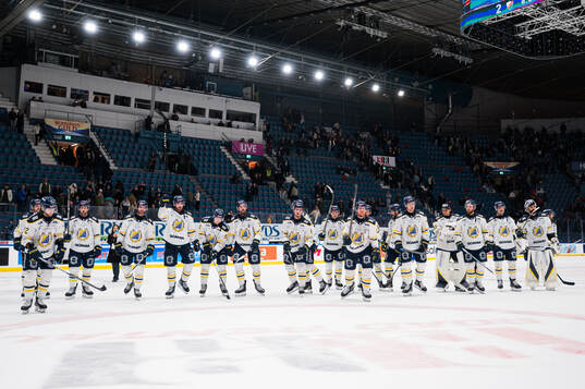 Södertäljes spelare jublar