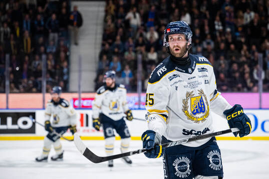 Södertäljes Sebastian Dyk