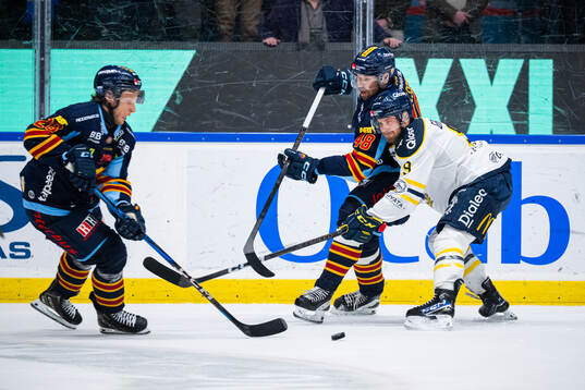 Djurgårdens Fredric Weigel, Djurgårdens Dick Axelsson och