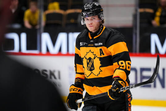 Skellefteås Rickard Hugg