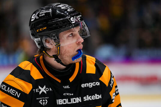 Skellefteås Rickard Hugg