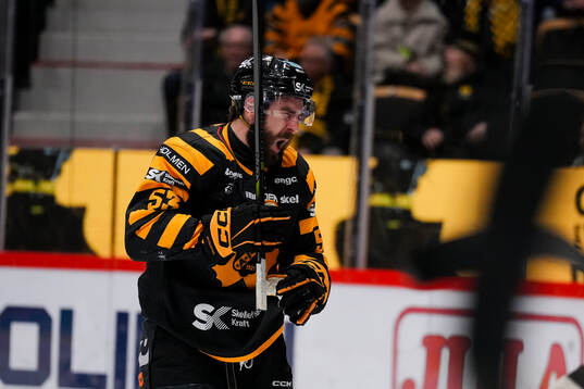 Skellefteås Luke Witkowski