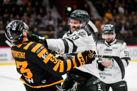 Skellefteås Luke Witkowski och Färjestads Adam Ollas