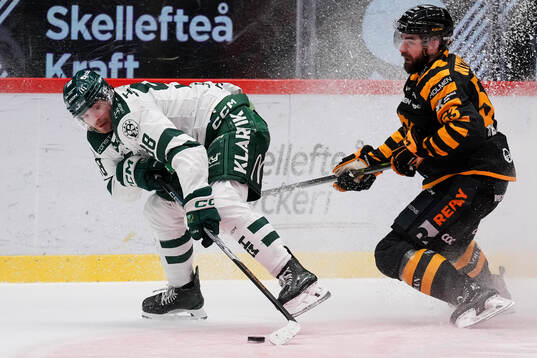 Färjestads Marian Studenic och Skellefteås Luke Witkowski