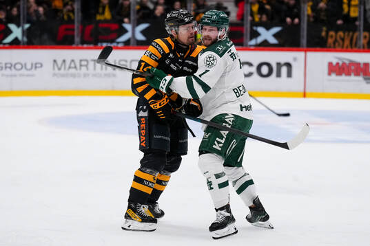 Skellefteås Andreas Johnson och Färjestads Axel Bergkvist