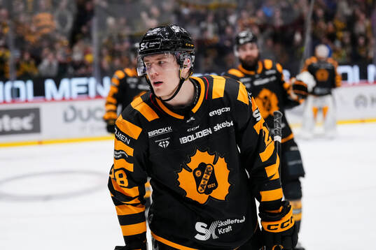 Skellefteås Michael Brandsegg-Nygård