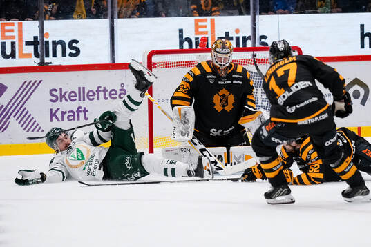 Färjestads David Tomasek och Skellefteås målvakt Linus