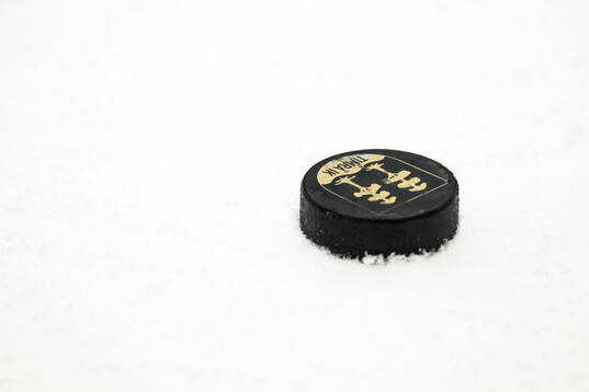 En puck