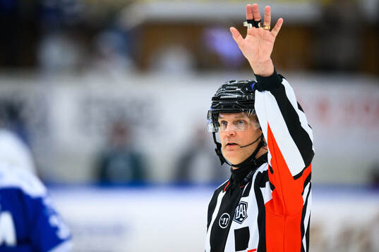 Domare Mikael Nord