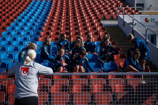 Players sit in the stands