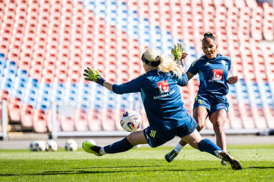 goalkeeper Emma Holmgren and Madelen Janogy