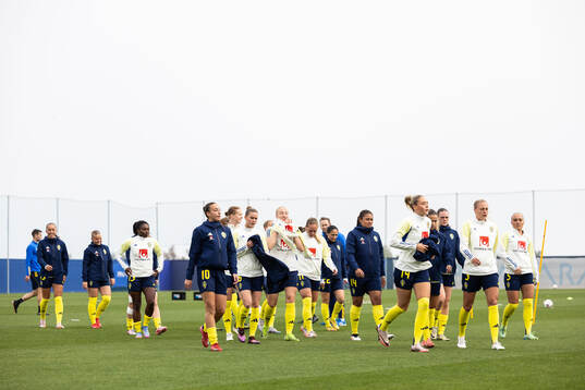 Players of Sweden