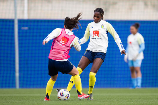 Evelyn Ijeh of Sweden