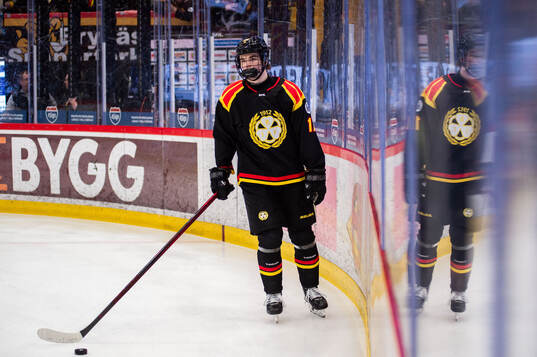 Brynäs Michal Svrcek
