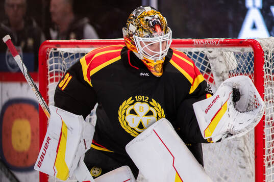 Brynäs målvakt Erik Källgren