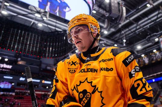 Skellefteås Jonathan Johnson