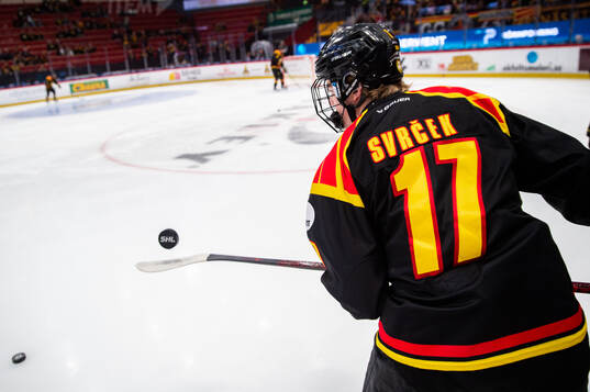 Brynäs Michal Svrcek