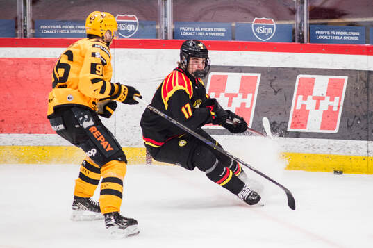 Skellefteås Rickard Hugg och Brynäs Michal Svrcek