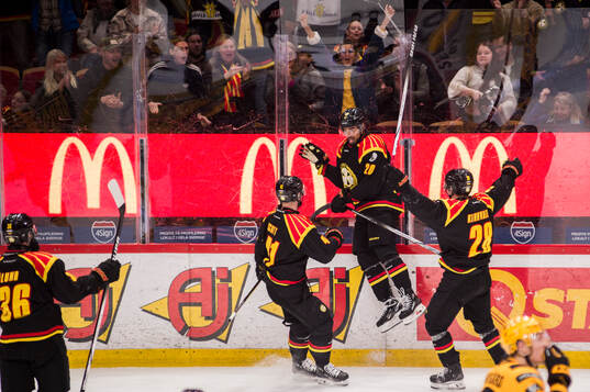 Brynäs Tyler Vesel jublar