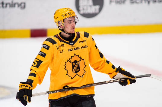 Skellefteås Pontus Johansson deppar