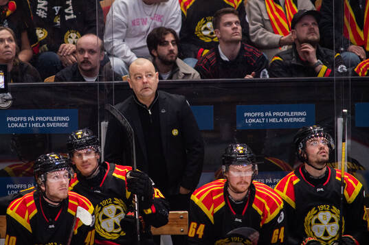 Brynäs tränare Niklas Gällstedt