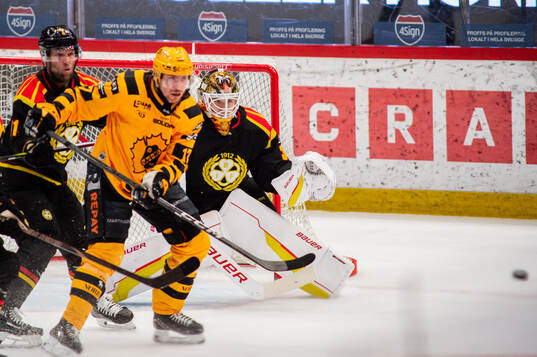 Brynäs målvakt Erik Källgren