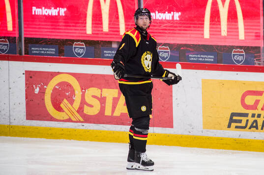 Brynäs Christian Djoos deppar