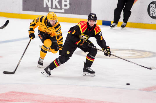 Skellefteås Martins Dzierkals och Brynäs Christian Djoos