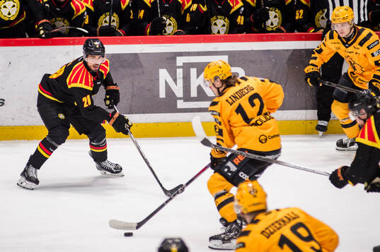 Brynäs Tyler Vesel och Skellefteås Valter Lindberg