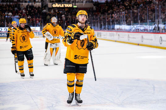 Skellefteås Jonathan Davidsson deppar