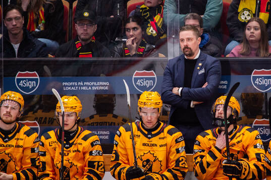 Skellefteås tränare Pierre Johnsson