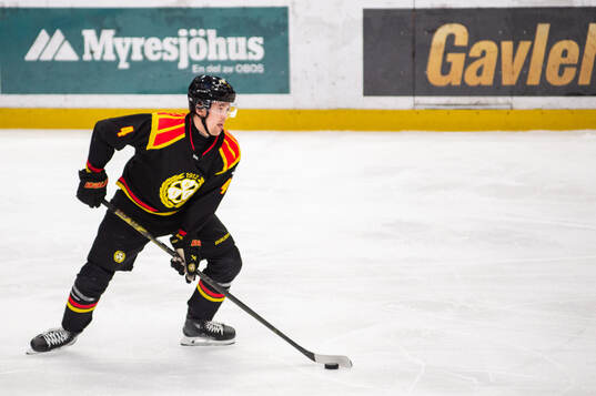 Brynäs Theo Lindstein
