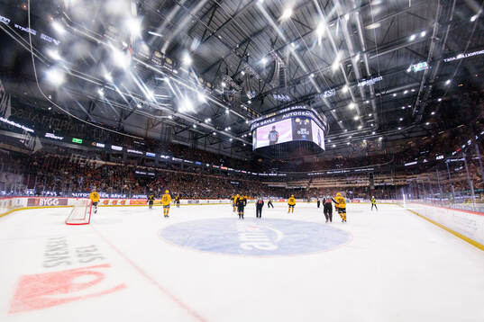 Monitor ERP Arena