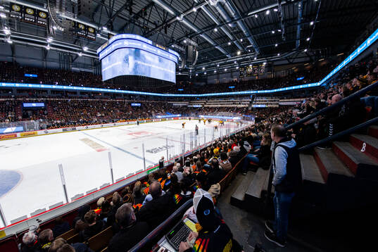 Monitor ERP Arena